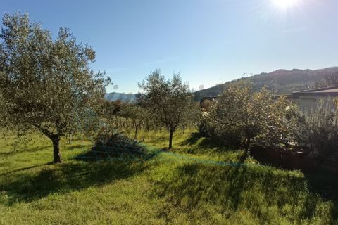 Villa a Rosignano Marittimo, Livorno, Rosignano Marittimo - € 86.000 | Ref: C856 - foto 18