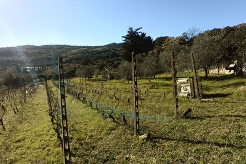Villa a Rosignano Marittimo, Livorno, Rosignano Marittimo - € 86.000 | Ref: C856 - foto 19