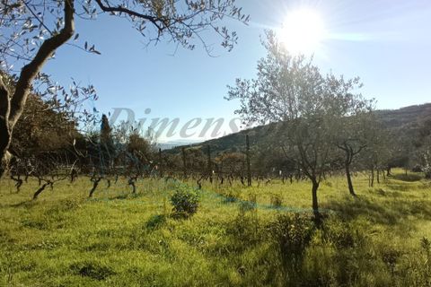 Villa a Rosignano Marittimo, Livorno, Rosignano Marittimo - € 86.000 | Ref: C856 - foto 20