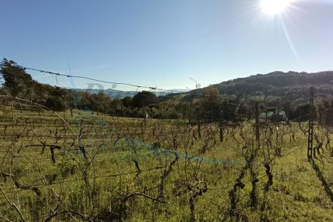 Villa a Rosignano Marittimo, Livorno, Rosignano Marittimo - € 86.000 | Ref: C856 - foto 21