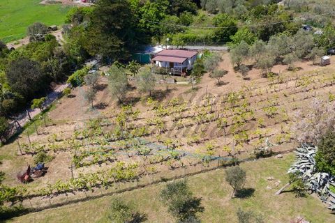 Villa a Rosignano Marittimo, Livorno, Rosignano Marittimo - € 86.000 | Ref: C856 - foto 26