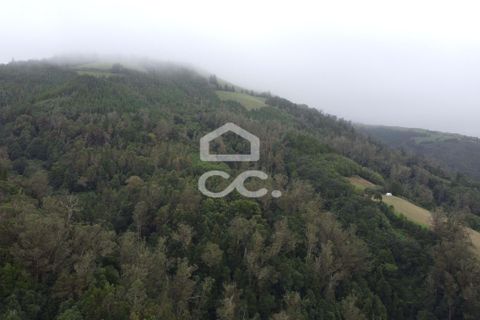 Terra a Lagoa, Sao Miguel, Lagoa - € 59.950 | Ref: 326/T/03509 - foto 10