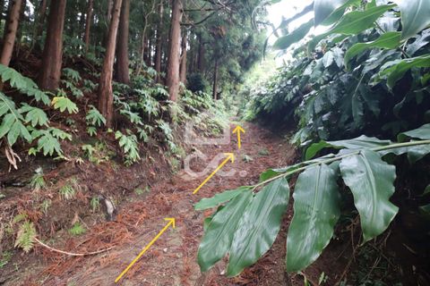 Terra a Lagoa, Sao Miguel, Lagoa - € 74.950 | Ref: 326/T/03510 - foto 3