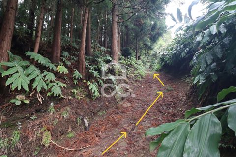 Terra a Lagoa, Sao Miguel, Lagoa - € 74.950 | Ref: 326/T/03510 - foto 4