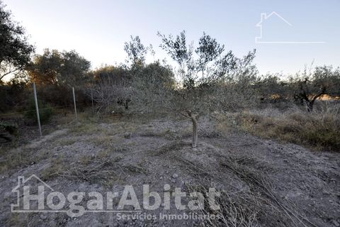 Villa a Sagunto, Valencia, Sagunto - € 490.000 | Ref: 050POL490.F-G/3716 - foto 33