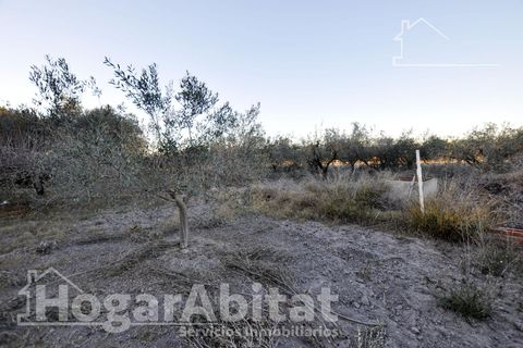 Villa a Sagunto, Valencia, Sagunto - € 490.000 | Ref: 050POL490.F-G/3716 - foto 34