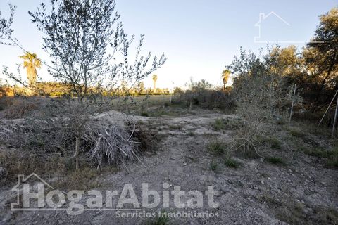 Villa a Sagunto, Valencia, Sagunto - € 490.000 | Ref: 050POL490.F-G/3716 - foto 35