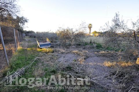 Villa a Sagunto, Valencia, Sagunto - € 490.000 | Ref: 050POL490.F-G/3716 - foto 36