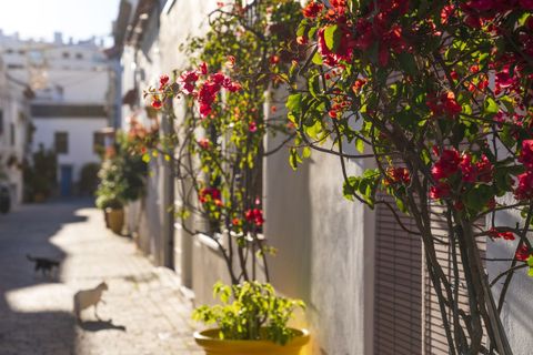 Byhus i Estepona, Malaga, Estepona - € 850.000 | Ref: CP05691 - foto 33