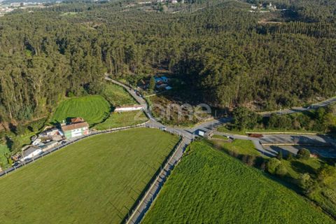 Helårsgrund i Maia, Porto, Maia - € 320.000 | Ref: ZMPT557665 - foto 6