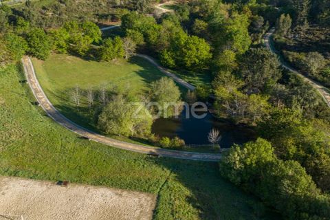 Helårsgrund i Maia, Porto, Maia - € 320.000 | Ref: ZMPT557665 - foto 9