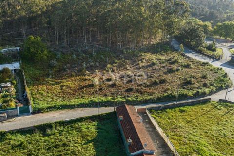 Helårsgrund i Maia, Porto, Maia - € 320.000 | Ref: ZMPT557665 - foto 12