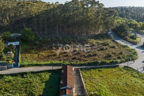 Helårsgrund i Maia, Porto, Maia - € 320.000 | Ref: ZMPT557665 - foto 13