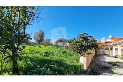 Villa a Tomar, Santarem, Tomar - € 430.000 | Ref: ID 01001001-55 - foto 38