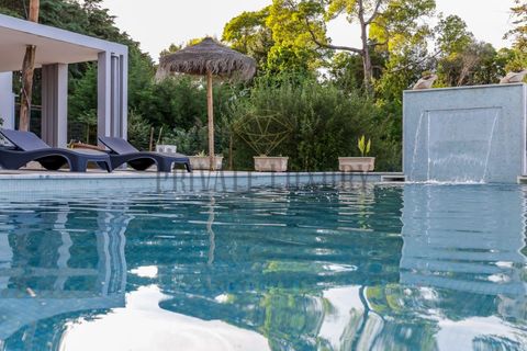 Farm i Setubal, Setubal, Setubal - € 3.100.000 | Ref: 8183 - foto 6