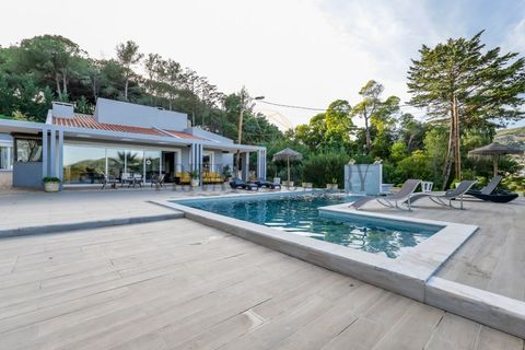 Farm i Setubal, Setubal, Setubal - € 3.100.000 | Ref: 8183 - foto 8