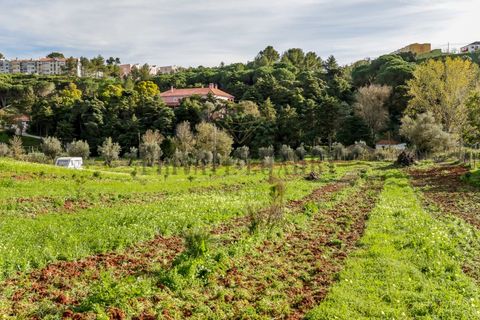 Farm i Setubal, Setubal, Setubal - € 3.100.000 | Ref: 8183 - foto 17