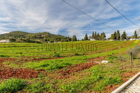 Farm i Setubal, Setubal, Setubal - € 3.100.000 | Ref: 8183 - foto 19