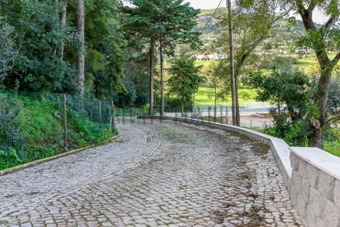 Farm i Setubal, Setubal, Setubal - € 3.100.000 | Ref: 8183 - foto 23