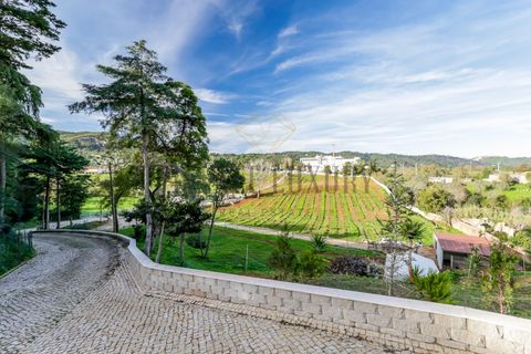 Farm i Setubal, Setubal, Setubal - € 3.100.000 | Ref: 8183 - foto 24