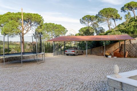 Farm i Setubal, Setubal, Setubal - € 3.100.000 | Ref: 8183 - foto 29