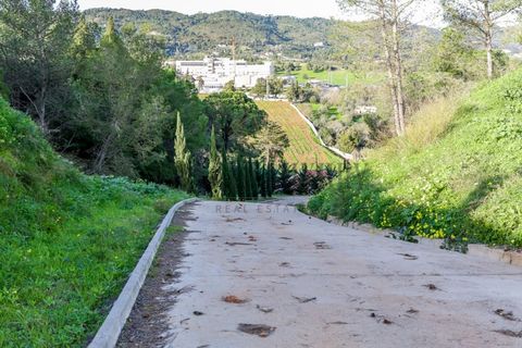 Farm i Setubal, Setubal, Setubal - € 3.100.000 | Ref: 8183 - foto 32