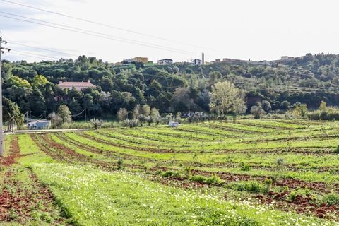 Farm i Setubal, Setubal, Setubal - € 3.100.000 | Ref: 8183 - foto 40