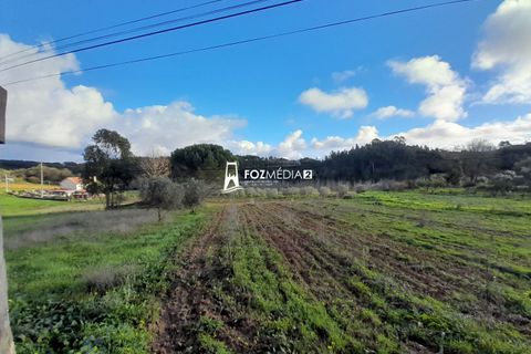 Villa a Soure, Coimbra, Soure - € 80.000 | Ref: MO3180 - foto 15
