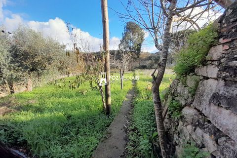 Villa a Soure, Coimbra, Soure - € 80.000 | Ref: MO3180 - foto 37