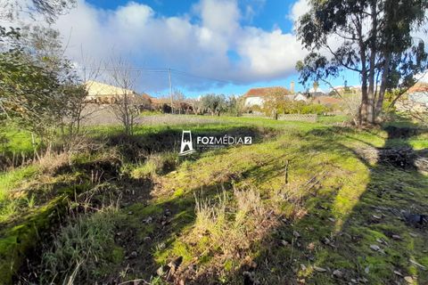 Villa a Soure, Coimbra, Soure - € 80.000 | Ref: MO3180 - foto 43