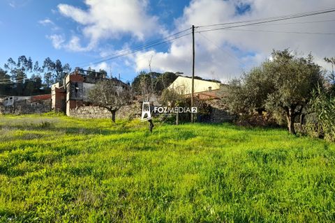 Villa a Soure, Coimbra, Soure - € 80.000 | Ref: MO3180 - foto 44