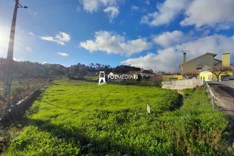 Villa a Soure, Coimbra, Soure - € 80.000 | Ref: MO3180 - foto 47