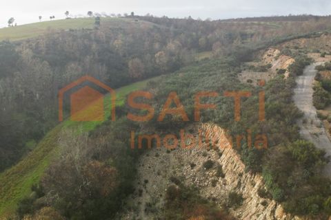 Terra a Podence e Santa Combinha, Braganca, Podence e Santa Combinha - € 600.000 | Ref: SAFTI:004221 - foto 6