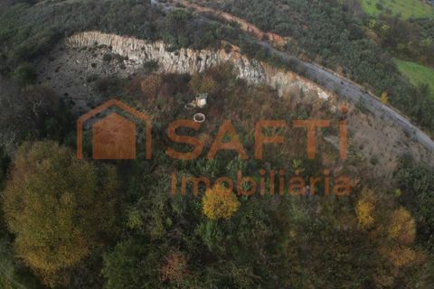 Terra a Podence e Santa Combinha, Braganca, Podence e Santa Combinha - € 600.000 | Ref: SAFTI:004221 - foto 11
