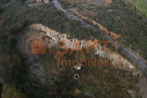 Terra a Podence e Santa Combinha, Braganca, Podence e Santa Combinha - € 600.000 | Ref: SAFTI:004221 - foto 12