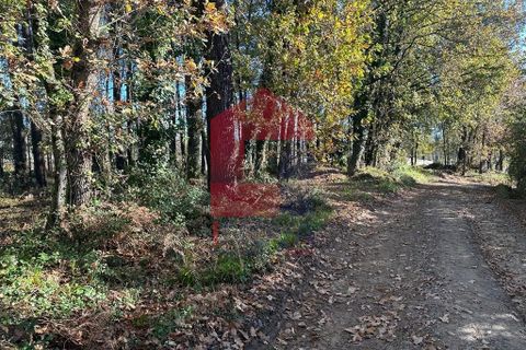 Helårsgrund i Vila Verde, Braga, Vila Verde - € 96.500 | Ref: 08214 - foto 3