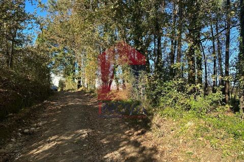 Helårsgrund i Vila Verde, Braga, Vila Verde - € 96.500 | Ref: 08214 - foto 10