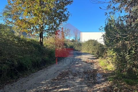 Helårsgrund i Vila Verde, Braga, Vila Verde - € 96.500 | Ref: 08214 - foto 11