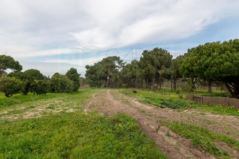 Villa a Sesimbra, Setubal, Sesimbra - € 950.000 | Ref: CAS_3820 - foto 40