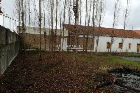 Farm hus i Constancia, Santarem, Constancia - € 514.000 | Ref: JFCGD-02015194CA - foto 2