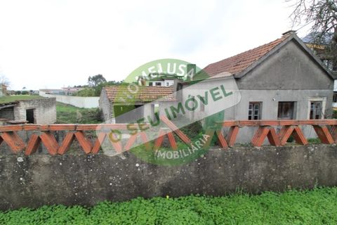 Helårsgrund i Bom Sucesso, Aveiro, Bom Sucesso - € 96.000 | Ref: FFMJ5220 - foto 3
