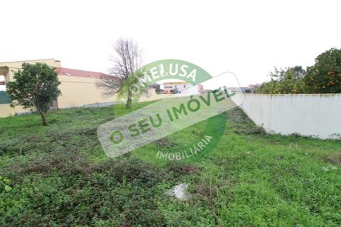 Helårsgrund i Bom Sucesso, Aveiro, Bom Sucesso - € 96.000 | Ref: FFMJ5220 - foto 5