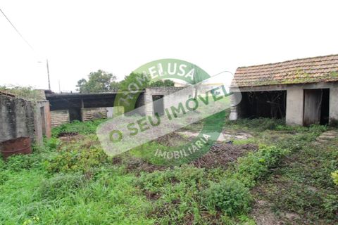 Helårsgrund i Bom Sucesso, Aveiro, Bom Sucesso - € 96.000 | Ref: FFMJ5220 - foto 8