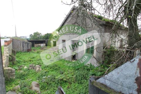 Helårsgrund i Bom Sucesso, Aveiro, Bom Sucesso - € 96.000 | Ref: FFMJ5220 - foto 9