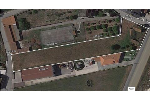 Helårsgrund i Bom Sucesso, Aveiro, Bom Sucesso - € 96.000 | Ref: FFMJ5220 - foto 12