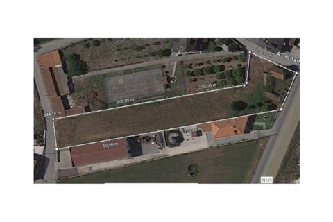 Helårsgrund i Bom Sucesso, Aveiro, Bom Sucesso - € 96.000 | Ref: FFMJ5220 - foto 13