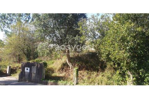 Helårsgrund i Alquerubim, Aveiro, Alquerubim - € 41.500 | Ref: EA94320 - foto 2