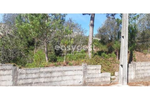 Helårsgrund i Alquerubim, Aveiro, Alquerubim - € 41.500 | Ref: EA94320 - foto 6