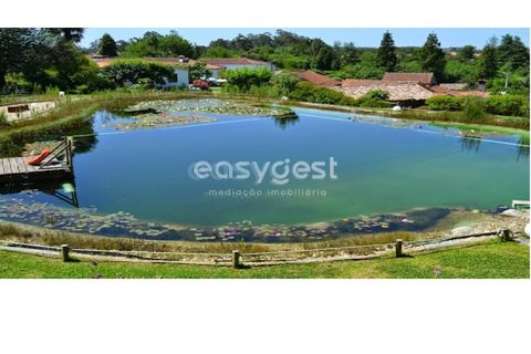 Helårsgrund i Alquerubim, Aveiro, Alquerubim - € 41.500 | Ref: EA94320 - foto 8