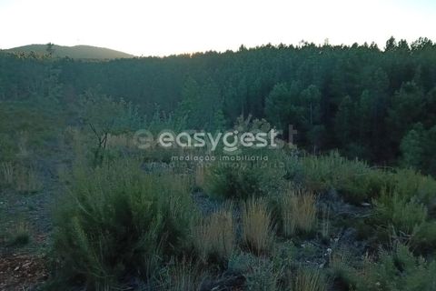 Helårsgrund i Fundao, Castelo Branco, Fundao - € 75.000 | Ref: CB94333MA - foto 1